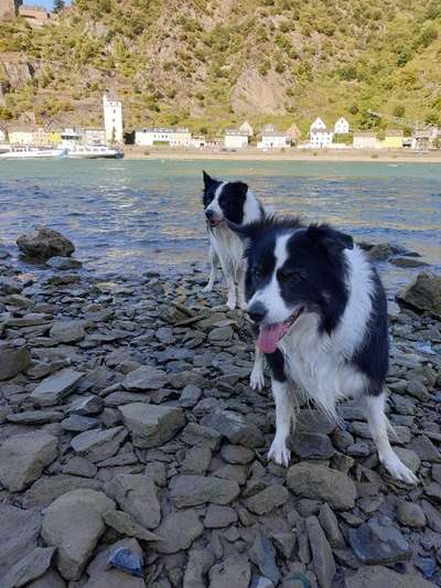 Fotochallenge 88-Beitrag-Bild