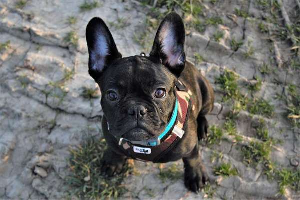 Von oben-Beitrag-Bild