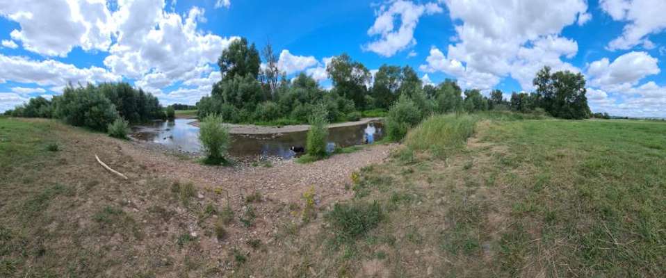 Die wunderschöne Welt mit Hund.-Beitrag-Bild