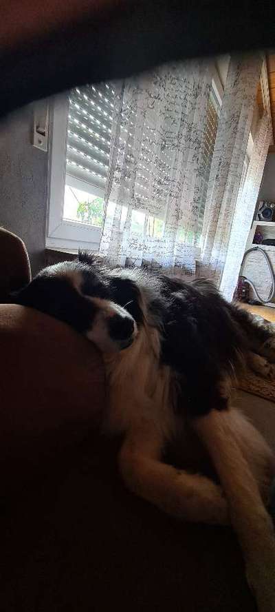 Die unbequemsten und lustigsten Schlafpositionen-Beitrag-Bild