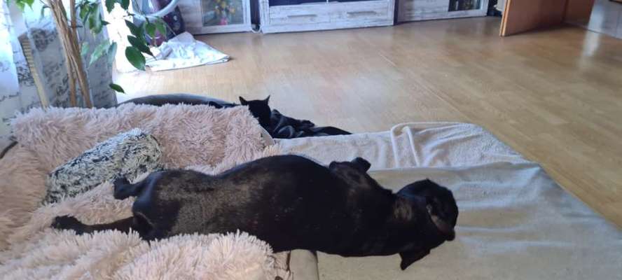 Schlafposition-Beitrag-Bild