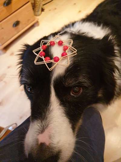 Blick fürs Detail!-Beitrag-Bild