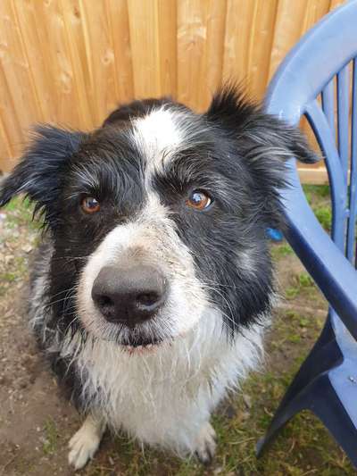 Zeigt mir doch mal eure Dreckspätze-Beitrag-Bild