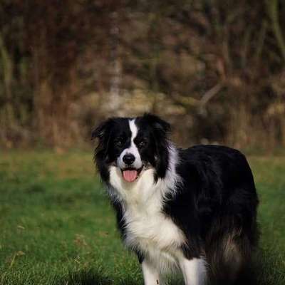 Lieblings Schnappschuss?-Beitrag-Bild