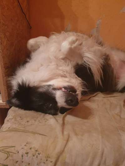 Die unbequemsten und lustigsten Schlafpositionen-Beitrag-Bild