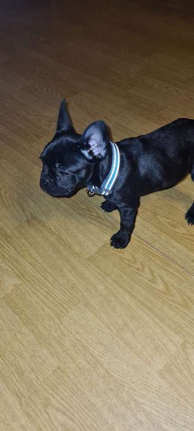 Erstes Bild-Beitrag-Bild