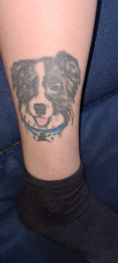 sind da noch welche von euch mit Tattoo's von euren fellnasen?-Beitrag-Bild