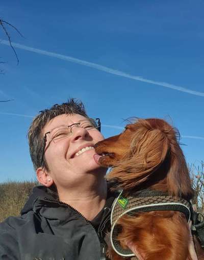 Tongue Out Tuesday-Beitrag-Bild