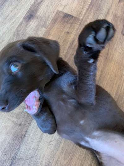 Lustige Grimassen & verrückte Posen-Beitrag-Bild