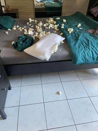 Zeig mir, dass du mit einem hund zusammenlebst....-Beitrag-Bild