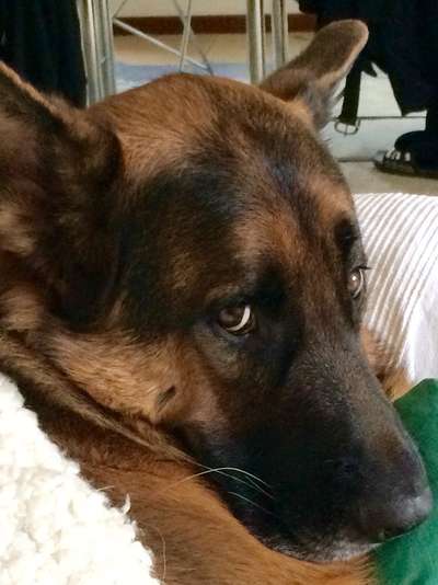 Fotochallange Nr. 57     PORTRÄT.   Beendet!!!!!!!!-Beitrag-Bild