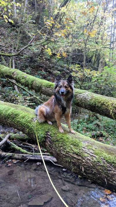 Foto Challenge Nr. 79-Beitrag-Bild