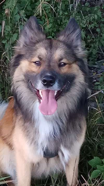 Fotochallange Nr. 57     PORTRÄT.   Beendet!!!!!!!!-Beitrag-Bild