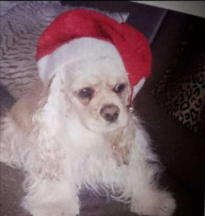 It's beginning to look a lot like.....-Beitrag-Bild