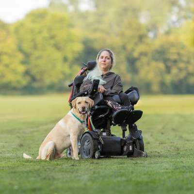 Hundetreffen-Zusammen gassi gehen-Bild