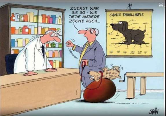 Wer kennt dieses Tier?-Beitrag-Bild