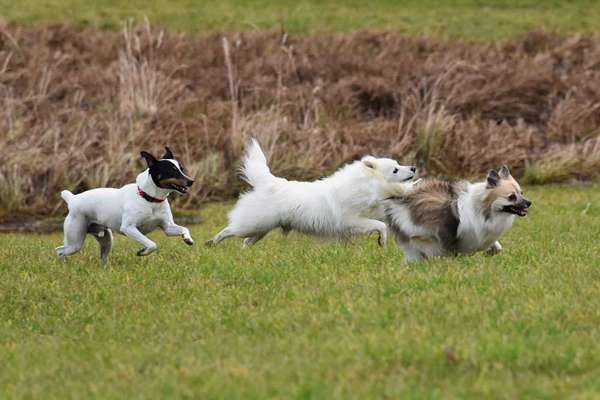 Handy-Foto-Challange Nr. 8-Beitrag-Bild