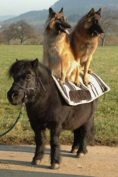 Handy-Foto-Challange Nr. 8-Beitrag-Bild