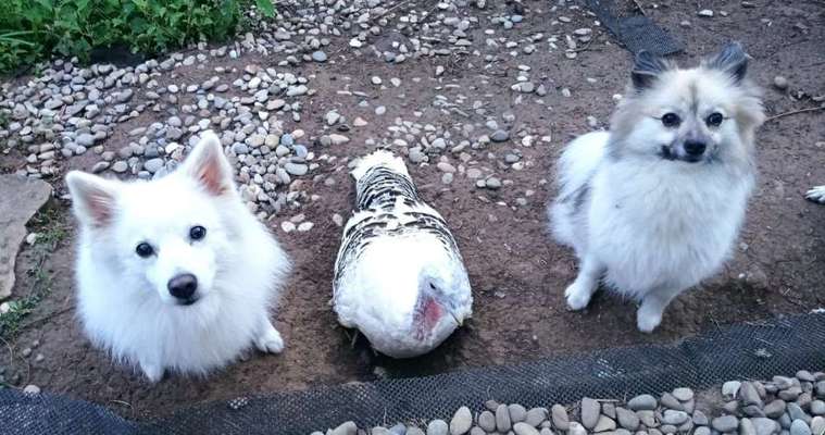 Handy-Foto-Challange Nr. 8-Beitrag-Bild