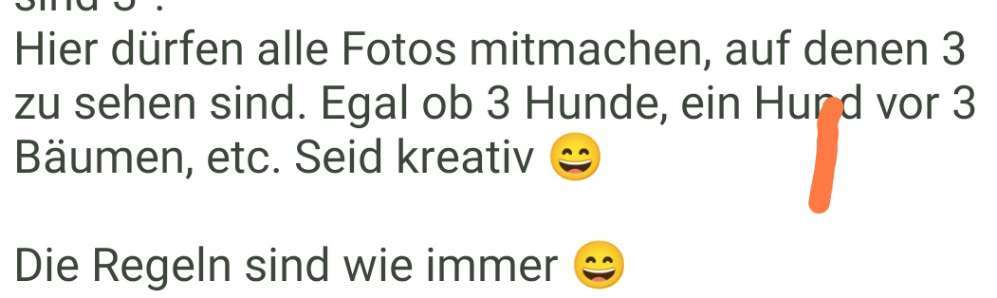 Handy-Foto-Challange Nr. 8-Beitrag-Bild