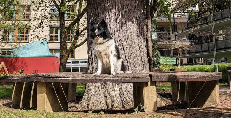 Freundschaftsanfragen-Beitrag-Bild