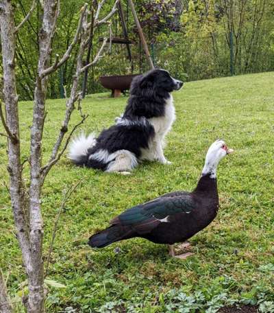 Bright side of life! Schönwetter-Thread-Beitrag-Bild