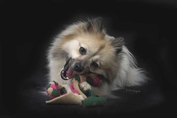 Fotochallange Nr. 57     PORTRÄT.   Beendet!!!!!!!!-Beitrag-Bild