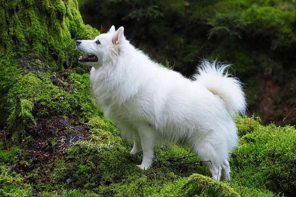 Austausch zur Fotografie-Beitrag-Bild