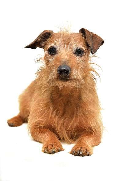 Fotochallange Nr. 57     PORTRÄT.   Beendet!!!!!!!!-Beitrag-Bild