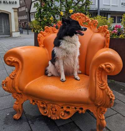 Freundschaftsanfragen-Beitrag-Bild