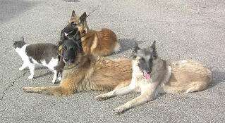 Handy-Foto-Challange Nr. 8-Beitrag-Bild