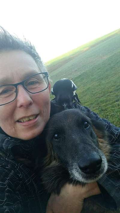 Dogorama Photo Challenge - Selfie Time!-Beitrag-Bild