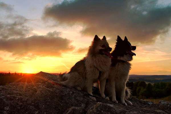 Fotochallenge Nr 107-Beitrag-Bild