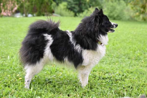 Der Gewichts-Thread-Beitrag-Bild