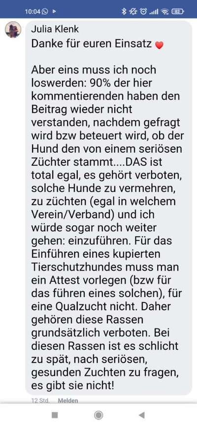 Brachycephale Hunderassen-Beitrag-Bild