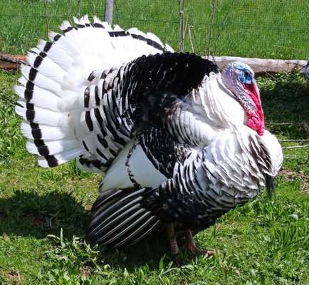 Freundschaftsanfragen-Beitrag-Bild