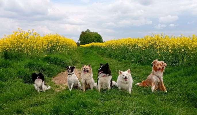 Bright side of life! Schönwetter-Thread-Beitrag-Bild