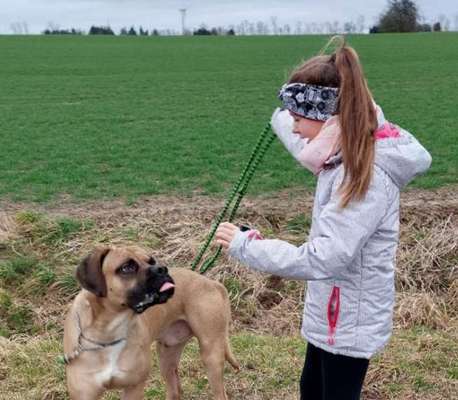 Hund knurrt Tochter (11) an-Beitrag-Bild