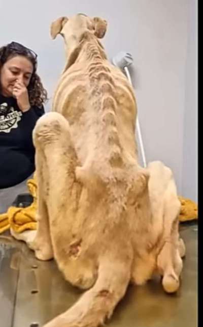 Vermehrung - Kasse statt klasse-Beitrag-Bild