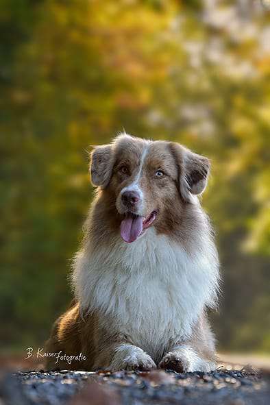 Austausch zur Fotografie-Beitrag-Bild