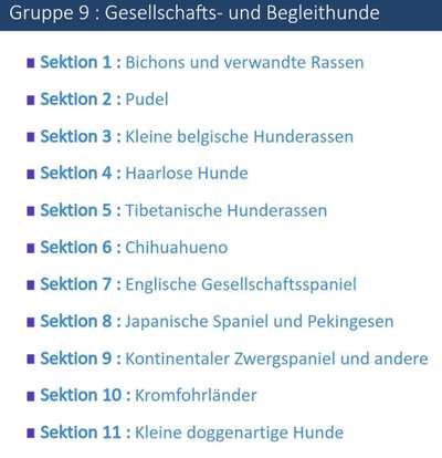 Einfache, familientaugliche Anfängerhunde-Beitrag-Bild