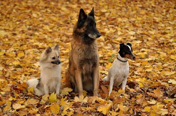 Handy-Foto-Challange Nr. 8-Beitrag-Bild