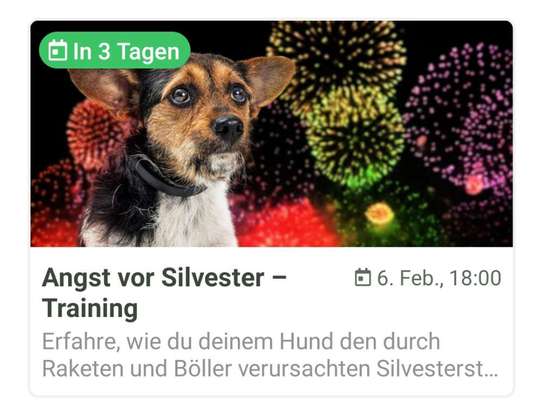 Silvester-Angst abtrainieren-Beitrag-Bild