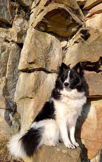 Dogorama Photo Challenge - Steine/Felsen-Beitrag-Bild