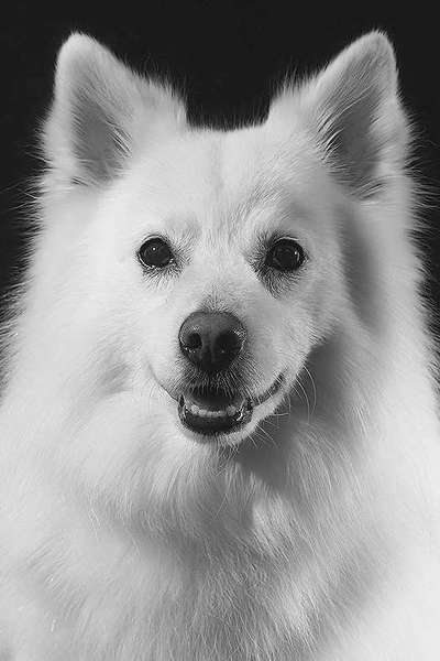 Fotochallange Nr. 57     PORTRÄT.   Beendet!!!!!!!!-Beitrag-Bild