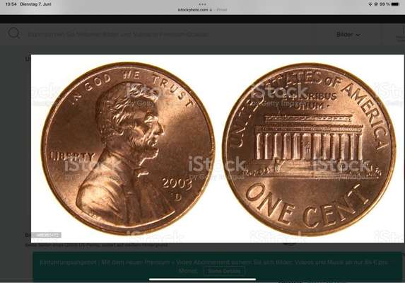 Wie heißt dein Hund?-Beitrag-Bild