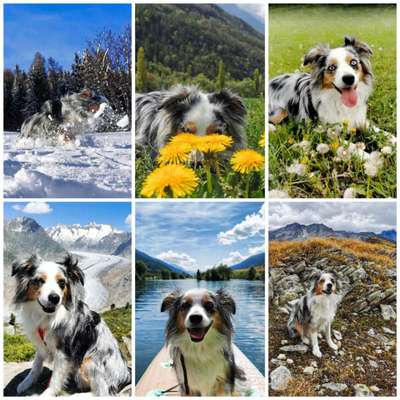 55.Fotocollagen  Challenge  4 Jahreszeiten-Beitrag-Bild