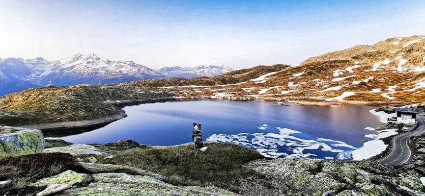 55. Handy Foto Challenge - von hinten, Blick in die Ferne-Beitrag-Bild