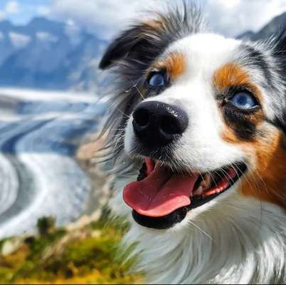 150. Foto Challaenge:  Die Augen, der Spiegel der Seele-Beitrag-Bild