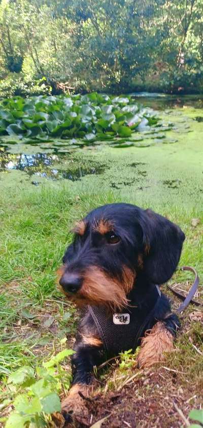 Theos Fotochallange Nummer 4-Beitrag-Bild